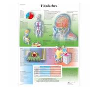 Anatomía patología anatómica el gráfico del sistema respiratorio pinturas clásicas en lienzo carteles de pared Vintage pegatinas decoración hogar regalo(3,Canvas 30x40cm)