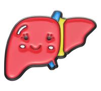 Anatomía Pines de Solapa | Órganos médicos como broche: hígado, riñón, pecho, Klein, Metal no precioso