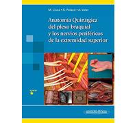 Anatomia quirurgica del plexo braquial y nervios p