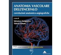 Anatomia vascolare dell'encefalo. Correlazioni anatomico-angiografiche
