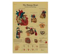 Anatomía y fisiología El póster de la estructura del cuerpo esqueleto retro Kraft Paper Sala Vintage Decoración médica Pintura pared(11,A3)