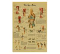 Anatomía y fisiología El póster de la estructura del cuerpo esqueleto retro Kraft Paper Sala Vintage Decoración médica Pintura pared(8,A4)