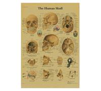 Anatomía y fisiología El póster de la estructura del cuerpo esqueleto retro Kraft Paper Sala Vintage Decoración médica Pintura pared(5,A3)