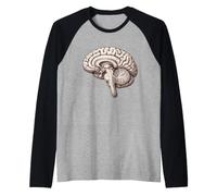 Anatómica Neurología Cerebral Anatomía Humana Estudiante de Medicina Camiseta Manga Raglan