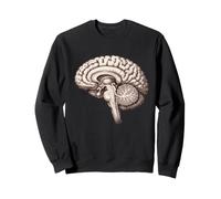 Anatómica Neurología Cerebral Anatomía Humana Estudiante de Medicina Sudadera
