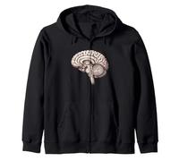 Anatómica Neurología Cerebral Anatomía Humana Estudiante de Medicina Sudadera con Capucha