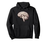 Anatómica Neurología Cerebral Anatomía Humana Estudiante de Medicina Sudadera con Capucha