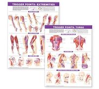 Anatomical Chart Anatomy Stuff Juego de gráficos de puntos de gatillo: Torso y extremidades