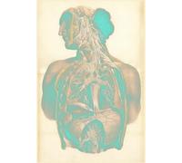 Anatomical Reflections: A 6x9 Writing Journal with Vintage Medical Art: Capture Your Thoughts in a Unique Notebook Inspired by Human Anatomy