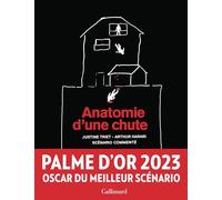 Anatomie d'une chute: Scénario commenté