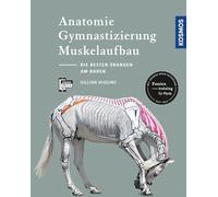 Anatomie, Gymnastizierung, Muskelaufbau: Die besten Übungen für Pferde am Boden