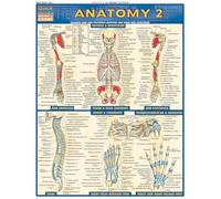 Anatomy 2 - Reference Guide: a QuickStudy Reference Tool (Quick Study Academic)