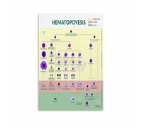 Anatomy and Physiology Poster Blood Cell Formation Canvas Print for Nursing School Classroom Decor(Framed,12x18inch(30x45cm))