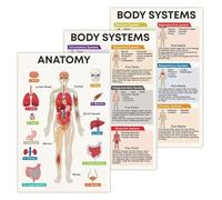 Anatomy Education Posters Human Body Systems Chart Major Organs and Skeletal Diagram Science Classroom Decor Biology Learning Resource for Students(Framed,08x12inch(20x30cm))