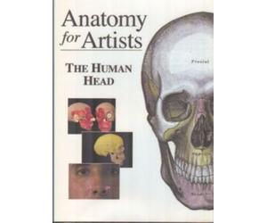 Anatomy for Artists - The Human Head [USA] [DVD]
