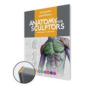 Anatomy For Sculptors, Understanding the Human Figure
