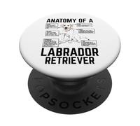 Anatomy of A Labrador Retriever PopSockets PopGrip Adhesivo