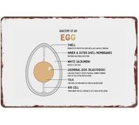 Anatomy of an Egg Educational Metal Sign Wall-Art 8 X 12 in