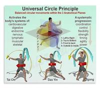 Anatomy of Circular Motion Poster Movement Principles in All Three Planes Canvas Wall-Art for Sports Clinic or Room(Framed,12x18inch(30x45cm))