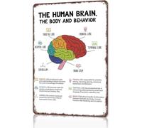 Anatomy of Human Brain Aluminum Sign 8 X 12 in