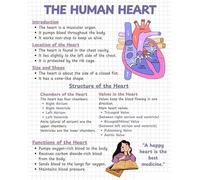 Anatomy of the Human Heart Poster - Accurate Educational Chart for Students, Teachers & Medical Professionals - Science Classroom or Clinic Office Decoration(Framed,08x12inch(20x30cm))