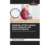 Anatomy of the urinary tract: lectures and practical figures
