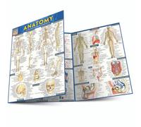 Anatomy - Reference Guide: a QuickStudy reference tool (Quickstudy Academic)