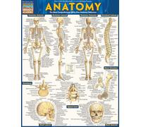 Anatomy - Reference Guide: a QuickStudy reference tool (Quickstudy Academic)