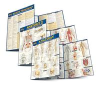 Anatomy - Student & Professional Series: 3 QuickStudy Laminated Reference Guides