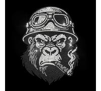 ANATTASOUL Parches Termoadhesivos de Diamantes Orangután Strass Parches para Planchar Camiseta Aplicación de Lentejuelas Termoadhesiva de Transferencia para Bolsos Ropa DIY