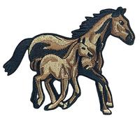 Anawakia Parche termoadhesivo bordado en forma de cabeza de caballo, adhesivo de tela aplicado bordado DIY para camiseta vaquera, gorro, bolsa (c)
