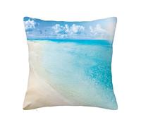 Anceky Funda de cojín Cuadrada Decorativa de Playa, Conchas Marinas, Supersuave, para Sala de Estar, Dormitorio, sofá, Azul, 45,7 x 45,7 cm