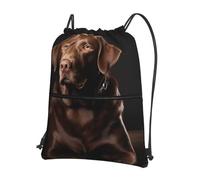 Anceky Mochila con cordón impermeable para gimnasio, bolsa de natación con cordón, diseño de perro labrador marrón, para hombres y mujeres