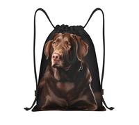 Anceky Mochila con cordón para gimnasio, bolsa de natación con cordón, diseño de perro labrador retriever marrón, para hombres y mujeres