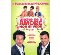 Anche se è amore non si vede [Italia] [DVD]