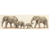 ANCHOR Puntada Kit de Punto de Cruz: Paseo de Elefante, Algodón, Multicolor, 14 x 47cm