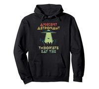 Ancient Astronaut Theorists Say Yes - Alien Head Theorist Sudadera con Capucha