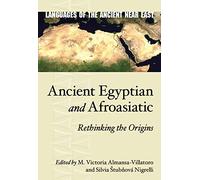 Ancient Egyptian and Afroasiatic: Rethinking the Origins (Languages of the Ancient Near East)