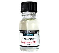 Ancient Wisdom Eucalyptus Fragrance Oil by Ancient Wisdom
