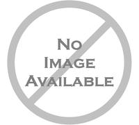 ANCLLO Figura sensorial articulada de pangolín Impreso en 3D, Sistema de Enlace Premium (Beige)