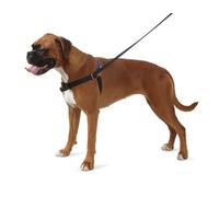 Ancol Arnés de Entrenamiento para Perro, Talla Pequeñ (Incluye DVD, Idioma español no garantizado)