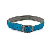 Ancol Collar Acolchado para Perro Viva con Hebilla, Accesorio de Paseo Duradero Azul para Perros y Cachorros, Talla 7 para Cuello de 50-59 cm