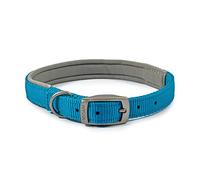 Ancol Collar Acolchado para Perro Viva con Hebilla, Accesorio de Paseo Duradero para Perros y Cachorros, Talla 4, se Adapta a Cuello de 35-43 cm