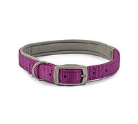 Ancol Collar Acolchado para Perro Viva con Hebilla, Accesorio Duradero para pasear Perros y Cachorros, Talla 5, se Adapta a Cuello de 39-48 cm
