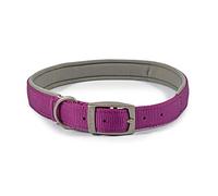 Ancol Collar Acolchado para Perro Viva con Hebilla, Accesorio Duradero para pasear Perros y Cachorros, Talla 6, se Adapta a Cuello de 45-54 cm