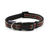 Ancol Collar de Perro Woof Gris, 30-50 cm