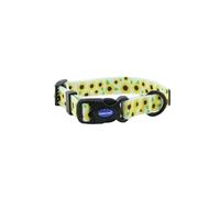 Ancol Collar Redondo para Perro con patrón de Girasol, Ligero, Resistente, Hebilla Ajustable, Duradero, Ajuste Seguro, Suave, cómodo, Elegante, Correa para Cachorros - Pequeño