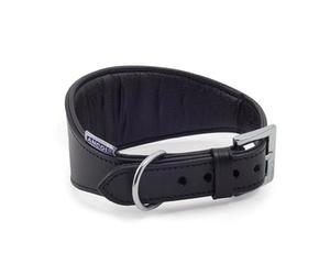 Ancol Galgo Acolchado Cuello Negro 34-43 cm