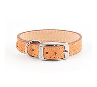 Ancol Heritage - Collar para perro, talla XS, M, L, pequeño, negro, rojo, marrón y marrón