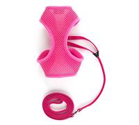 Ancol Juego de arnés y Correa de Malla Suave para Gatos, diseño Lavable para Gatos, cómodo y Ajustable, 15 cm de Longitud/Mediano